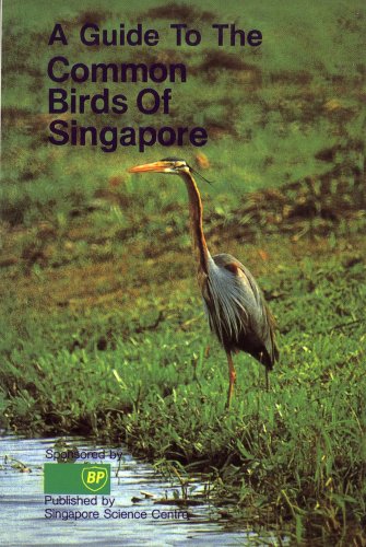 Stock image for A Guide to the Common Birds of Singapore for sale by East Kent Academic