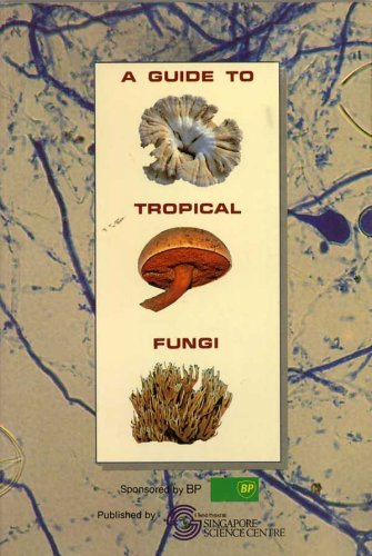 Stock image for A Guide to Tropical Fungi for sale by Orphans Treasure Box