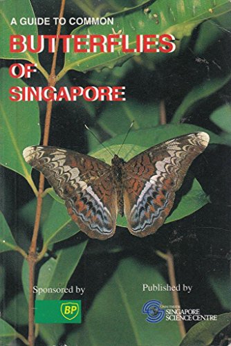 Stock image for A guide to common butterflies of Singapore for sale by HPB-Ruby