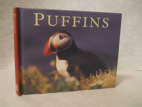 Imagen de archivo de PUFFINS a la venta por Wonder Book