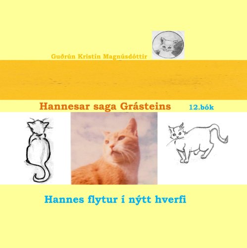 Stock image for Hannesar saga Grsteins, 12. bk: Hannes flytur  ntt hverfi for sale by Revaluation Books