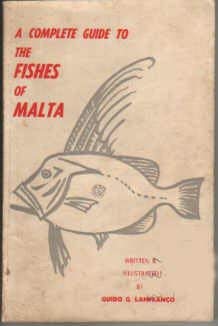 The Fish Around Malta (Central mediterranean)