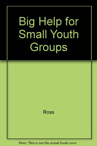 Stock image for Big Help for Small Youth Groups (Professional inaugural lecture series) for sale by Better World Books: West