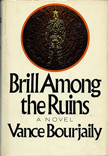 Stock image for Brill Among the Ruins: A Novel for sale by ThriftBooks-Dallas