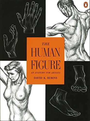 9789992289372: The Human Figure: An Anatomy for Artists by David K. Rubins (1975-09-15)