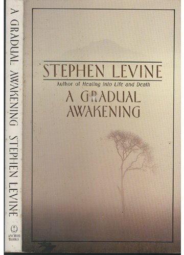 9789994014996: [A GRADUAL AWAKENING ]by(Levine, Stephen )[Paperback]