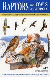9789994077182: Raptors and Owls of Georgia [English / Georgian]