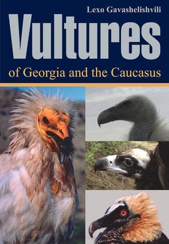 9789994077199: Vultures of Georgia and Caucasus