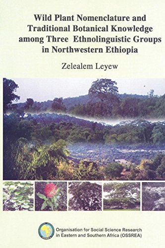 Stock image for Wild Plant Nomenclature and Traditional Botanical Knowledge among Three Ethnolinguistic Groups in Northwestern Ethiopia for sale by The Book Bin