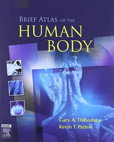 Stock image for Brief Atlas of the Human Body for sale by Better World Books