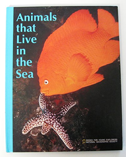 9789997433459: Animals That Live in the Sea