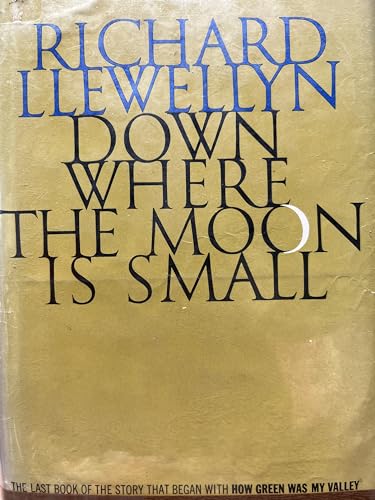 Beispielbild fr Down Where the Moon Is Small zum Verkauf von ThriftBooks-Dallas
