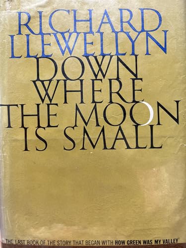 Stock image for Down Where the Moon Is Small for sale by ThriftBooks-Dallas