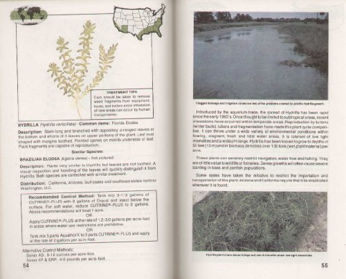 Imagen de archivo de How to Identify and Control Water Weeds and Algae a la venta por HPB Inc.