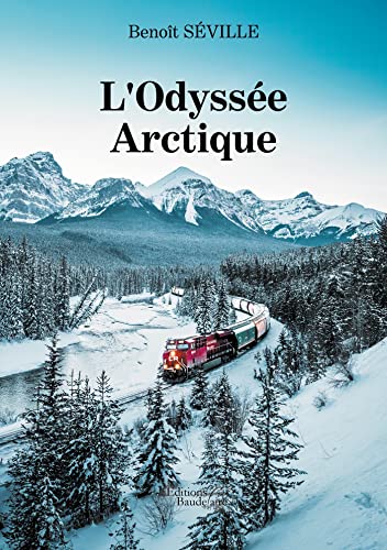 Beispielbild fr L'Odysse Arctique zum Verkauf von Ammareal