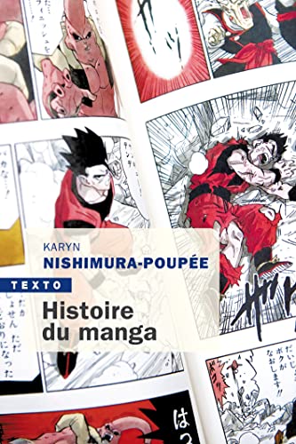 9791021053816: Histoire du manga