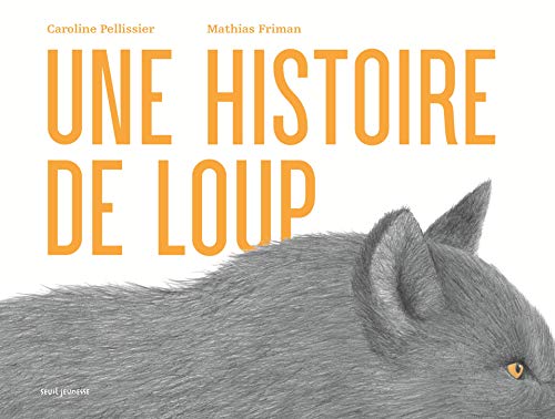Stock image for Une histoire de loup for sale by Gallix