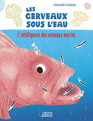 Beispielbild fr Les Cerveaux sous l'eau - L'Intelligence des animaux marins [Tableau mural] Grundmann, Emmanuelle et Tisserand, Camille zum Verkauf von BIBLIO-NET