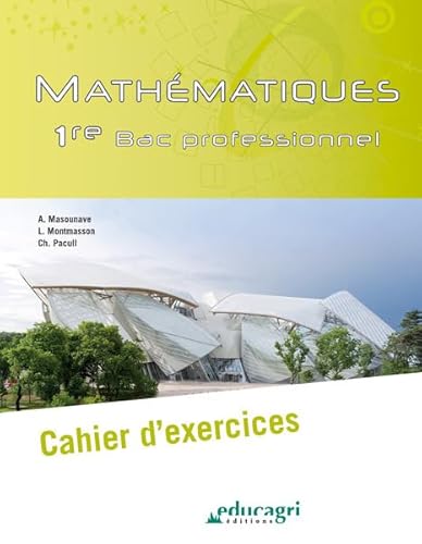 Stock image for Mathmatiques 1re Bac professionnel: Cahier d'exercices for sale by Ammareal