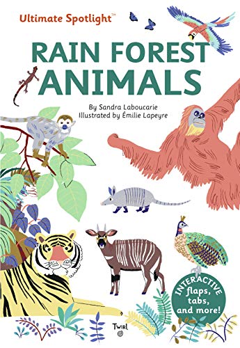 Imagen de archivo de Ultimate Spotlight: Rain Forest Animals a la venta por Better World Books