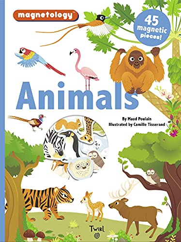 Imagen de archivo de Magnetology: Animals a la venta por Bookoutlet1