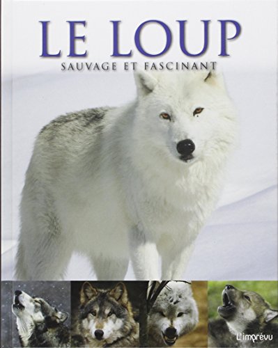Beispielbild fr Le loup sauvage et fascinant zum Verkauf von medimops