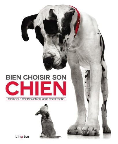 Beispielbild fr Bien choisir son chien : Trouver le compagnon qui vous correspond zum Verkauf von medimops