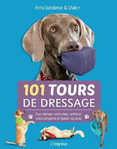 Beispielbild fr 101 tours de dressage : Pour stimuler votre chien, renforcer votre complicit et pater vos amis. zum Verkauf von medimops