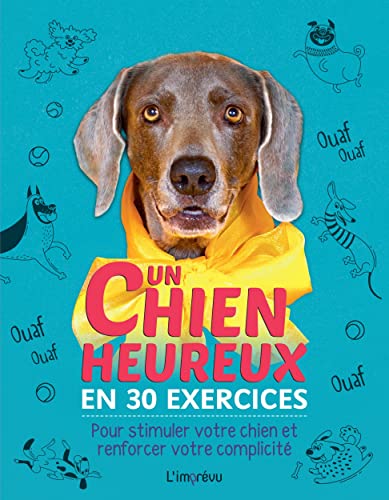 Imagen de archivo de Un chien heureux en 30 exercices. Pour stimuler votre chien et renforcer votre complicit a la venta por medimops