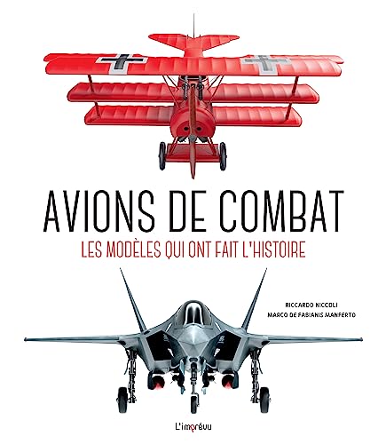 Beispielbild fr Avions de combat. Les modles qui ont fait l'Histoire: Les modles qui ont fait l'Histoire zum Verkauf von medimops