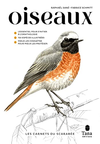 Beispielbild fr Les carnets du scarabe - Oiseaux zum Verkauf von Buchpark