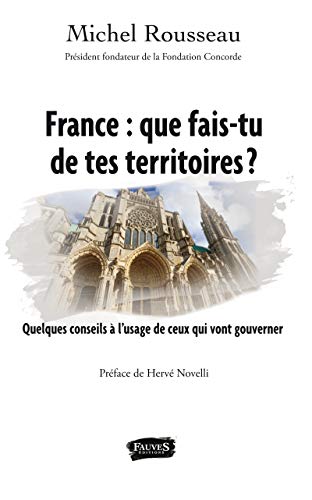 9791030200515: France : que fais-tu de tes territoires ?: Quelques Conseils  L'usage De Ceux Qui Vont Gouverner