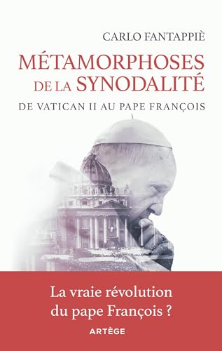 Beispielbild fr Mtamorphoses de la synodalit: De Vatican II au pape Franois zum Verkauf von medimops