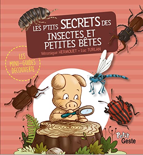 Beispielbild fr Les p'tits secrets des insectes et petites btes zum Verkauf von medimops