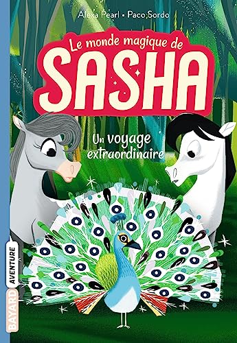 Beispielbild fr Le monde magique de Sasha, Tome 02: Un voyage extraordinaire zum Verkauf von Ammareal