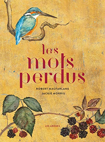 Stock image for Les Mots perdus for sale by Gallix