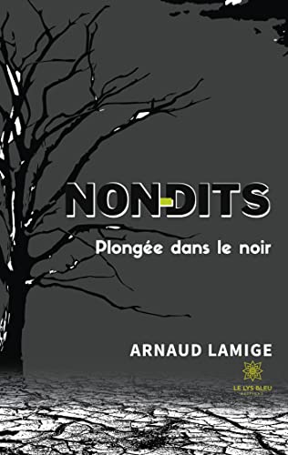 Stock image for Non-dits:Plongee dans le noir for sale by Chiron Media