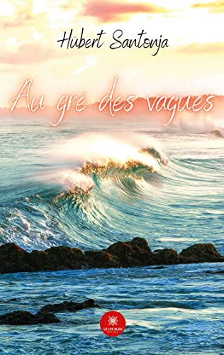 Stock image for Au gr des vagues for sale by medimops