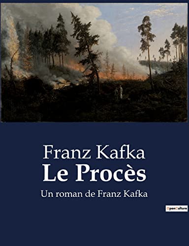 Stock image for Le Procs: Un roman de Franz Kafka for sale by medimops