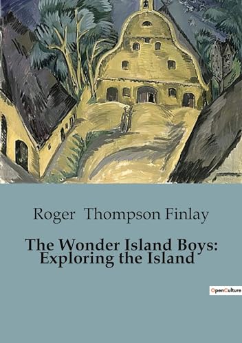 9791041953240: The Wonder Island Boys: Exploring the Island