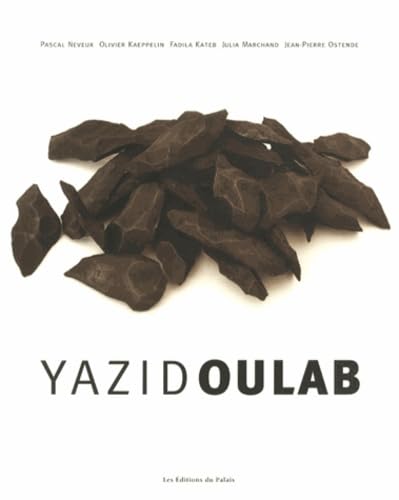 Stock image for Yazid Oulab for sale by LiLi - La Libert des Livres