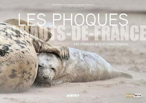 Beispielbild fr Les phoques en Hauts-de-France : Des phoques gris et veaux marins zum Verkauf von ECOSPHERE