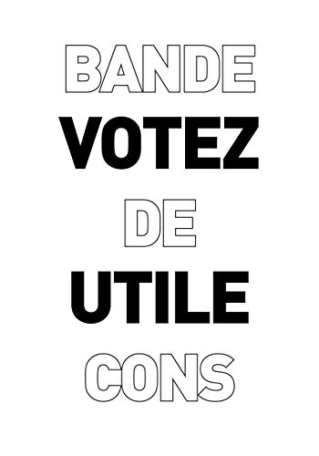 Beispielbild fr Votez utile zum Verkauf von Librairie La Canopee. Inc.