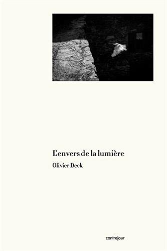 Stock image for L'envers de la lumire for sale by Librairie Th  la page