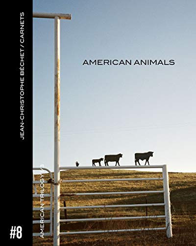 Stock image for Carnet #8 : American animals [Reli] Bchet, Jean-Christophe for sale by BIBLIO-NET