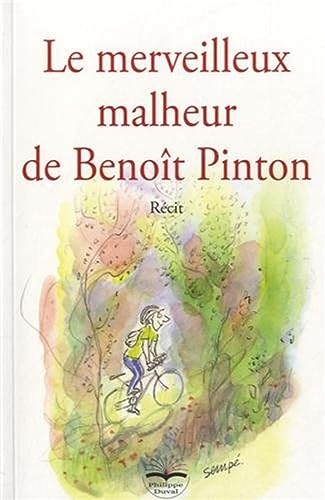 Stock image for Le merveilleux malheur de Benot Pinton for sale by Ammareal