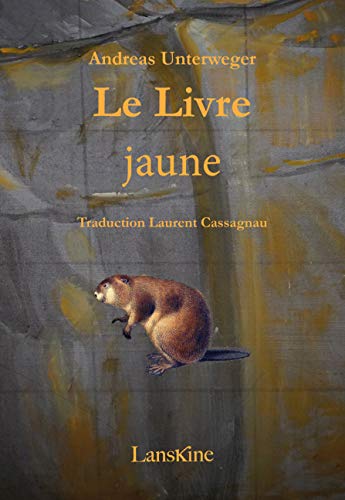 Beispielbild fr Le Livre Jaune zum Verkauf von medimops