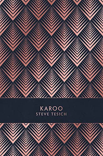 Imagen de archivo de Karoo a la venta por RECYCLIVRE