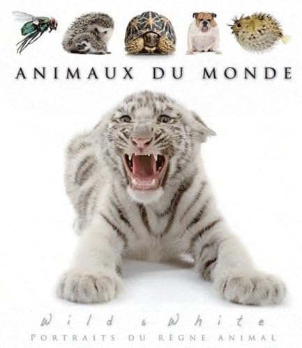 Beispielbild fr Animaux du monde zum Verkauf von medimops