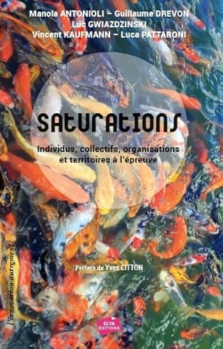 Beispielbild fr Saturations : individus, collectifs, organisations et territoires  l'preuve zum Verkauf von LiLi - La Libert des Livres